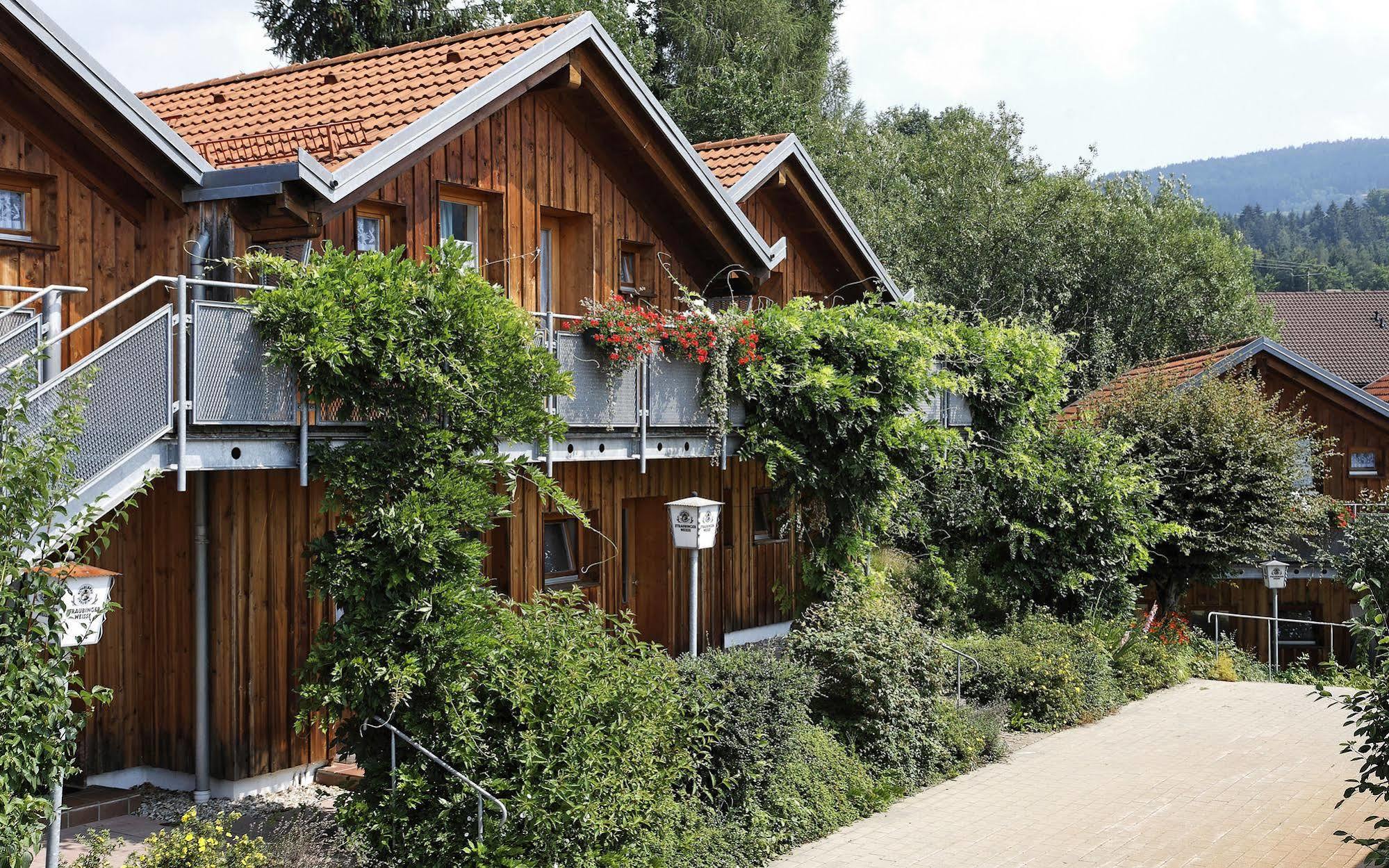 Village Hotel Bayerischer Wald Neukirchen  المظهر الخارجي الصورة