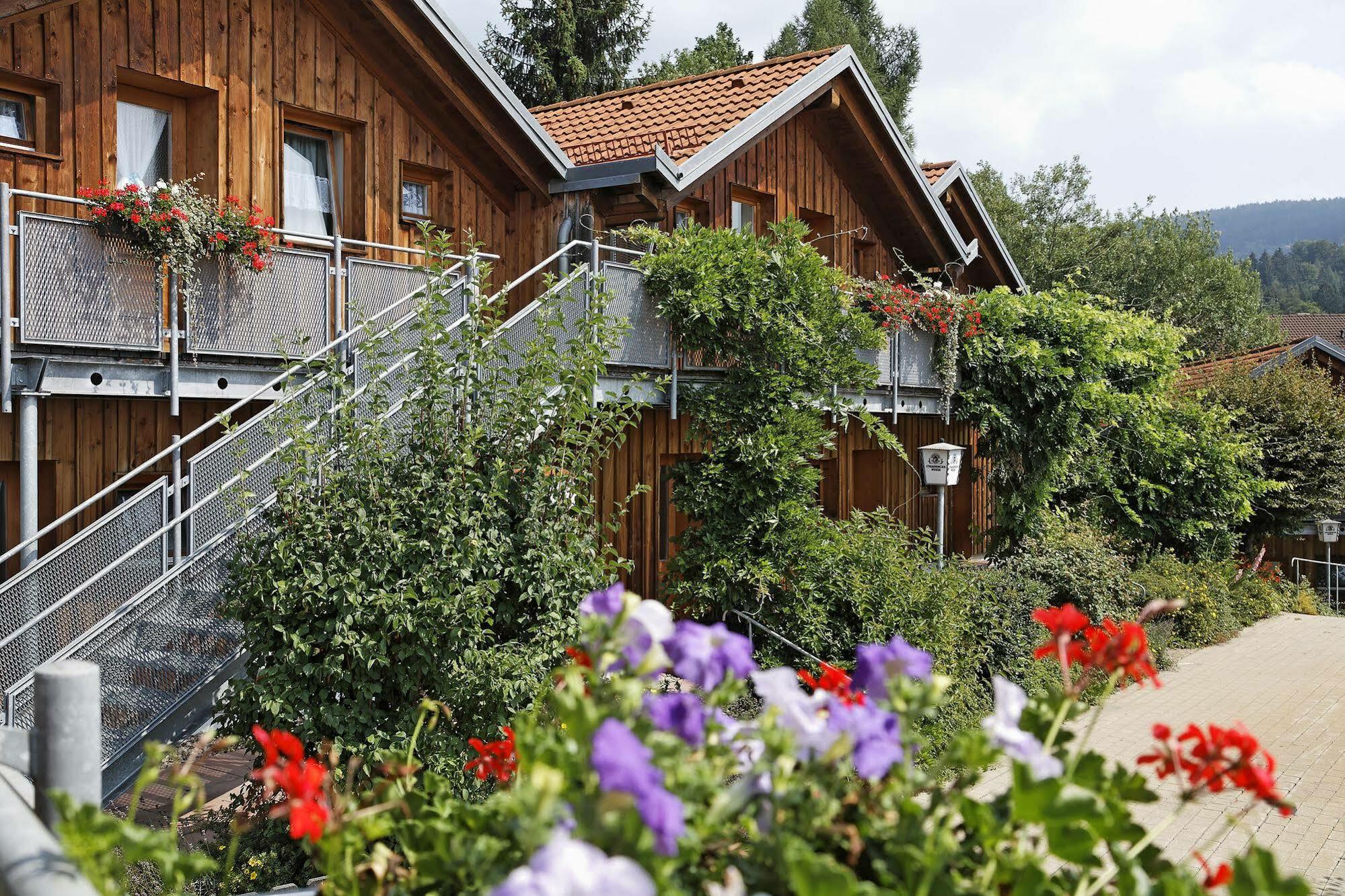Village Hotel Bayerischer Wald Neukirchen  المظهر الخارجي الصورة